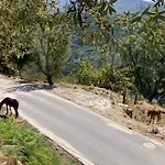 Сasa de vacaciones Casa Ponto Da Cruz T3 *