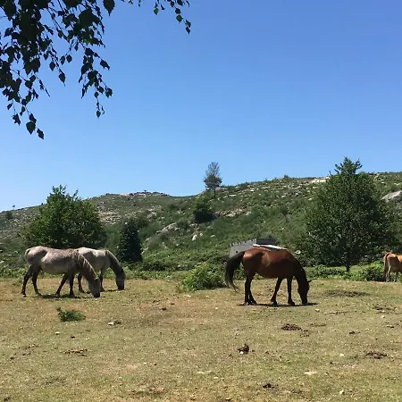 Casa Ponto Da Cruz T3 Ferienhaus