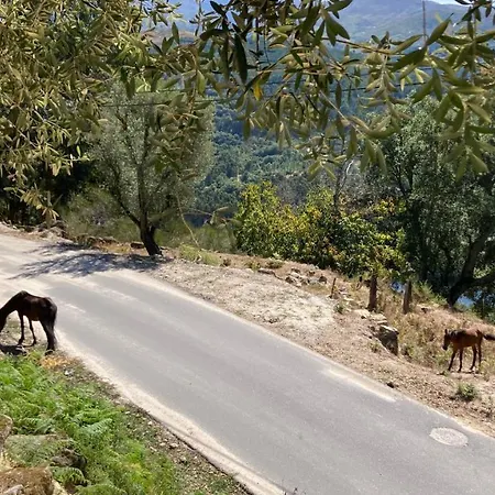 Casa de Férias Casa Ponto Da Cruz T3 *
