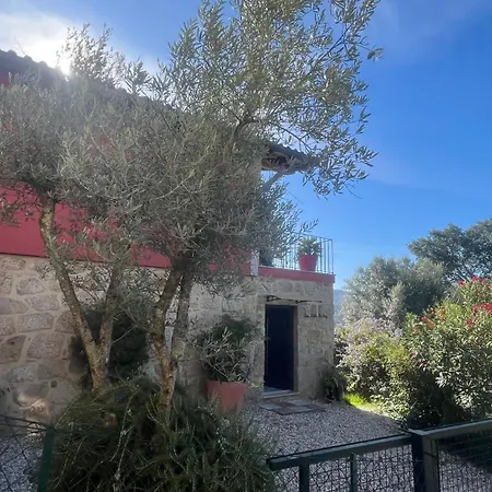 Casa Ponto Da Cruz T3