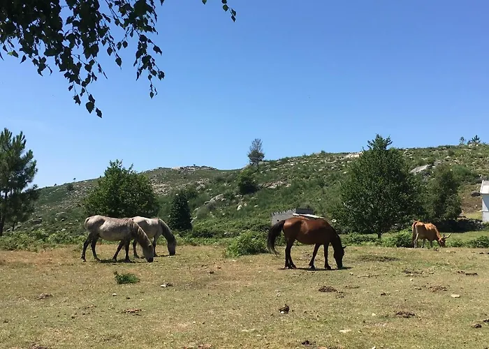 Casa Ponto Da Cruz T3 펜션