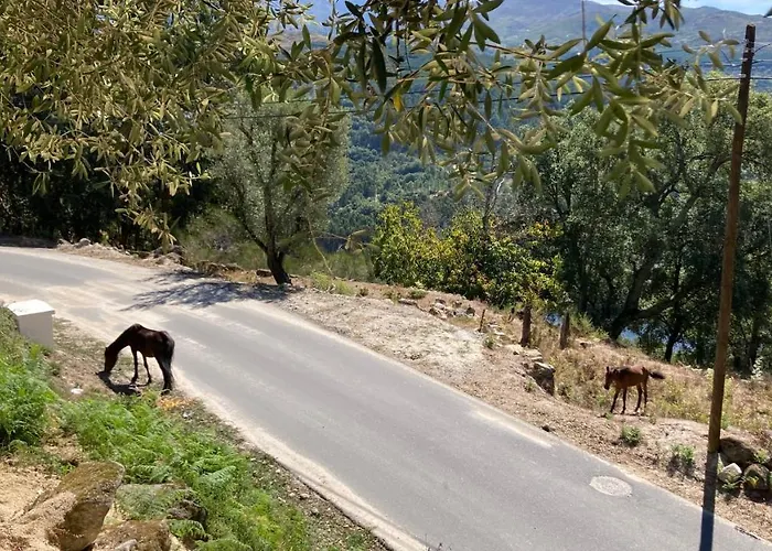 Holiday home Casa Ponto Da Cruz T3 *